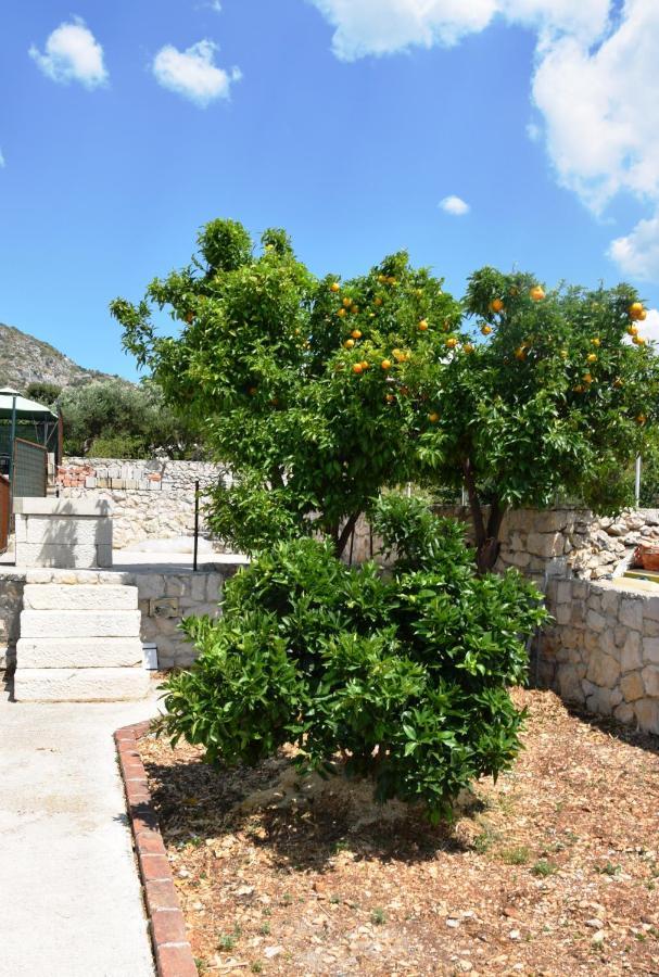 Casa vacanze Marta's - Marta Ii *